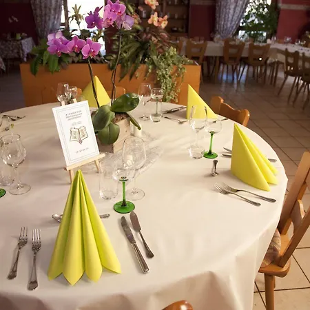 Logis A L'etoile D'or Batzendorf