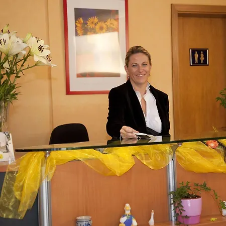 Logis A L'etoile D'or 3* Batzendorf